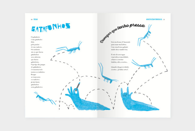 imagem-960×650-jardineiro-2