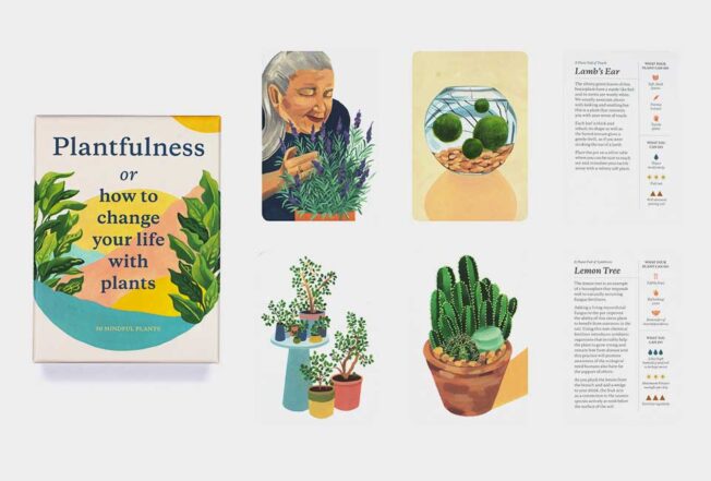 Plantfulness5
