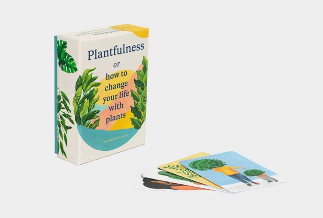 Plantfulness7