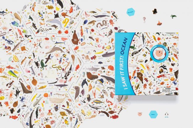 I-saw-it-first-Ocean5